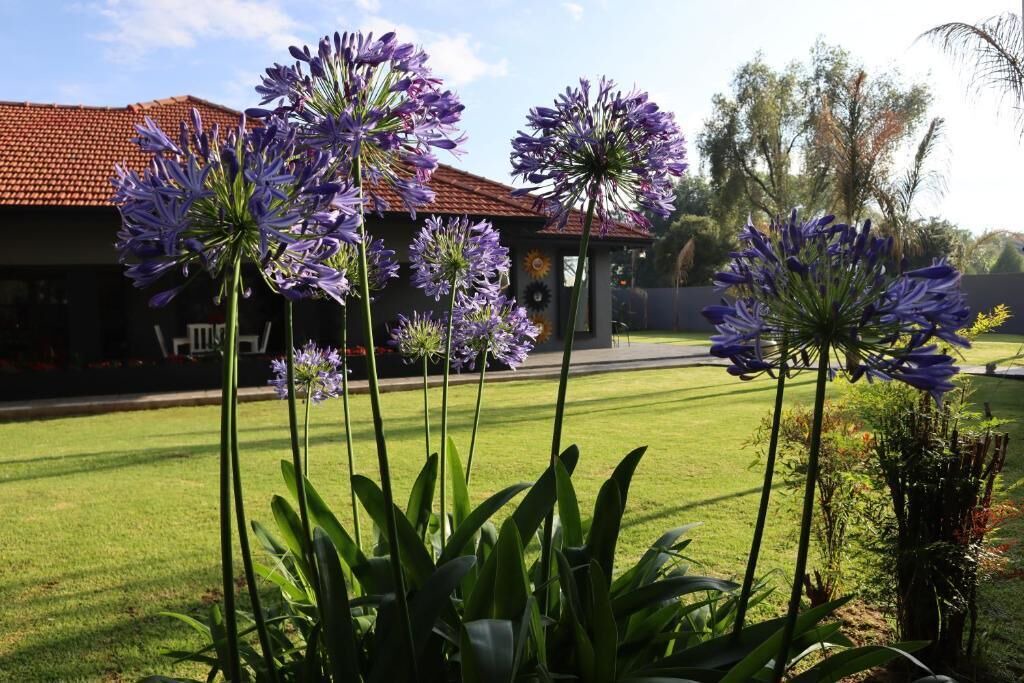 Photo of Outdoor in Welkom