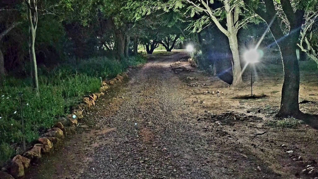 Photo of Others in Greater Johannesburg Metropolitan Area
