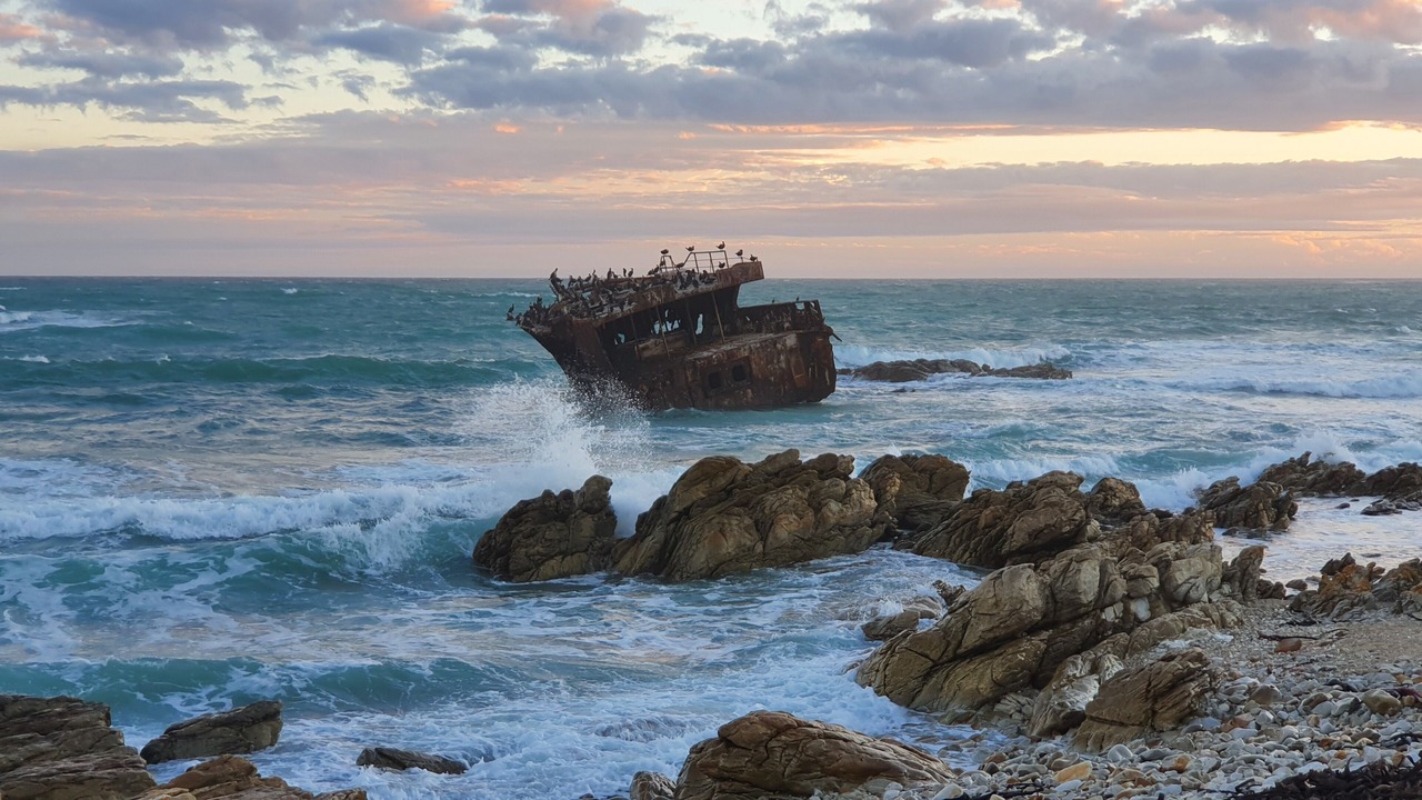 Photo of Others in Struisbaai