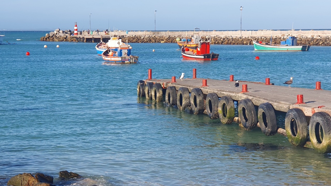 Photo of Others in Struisbaai