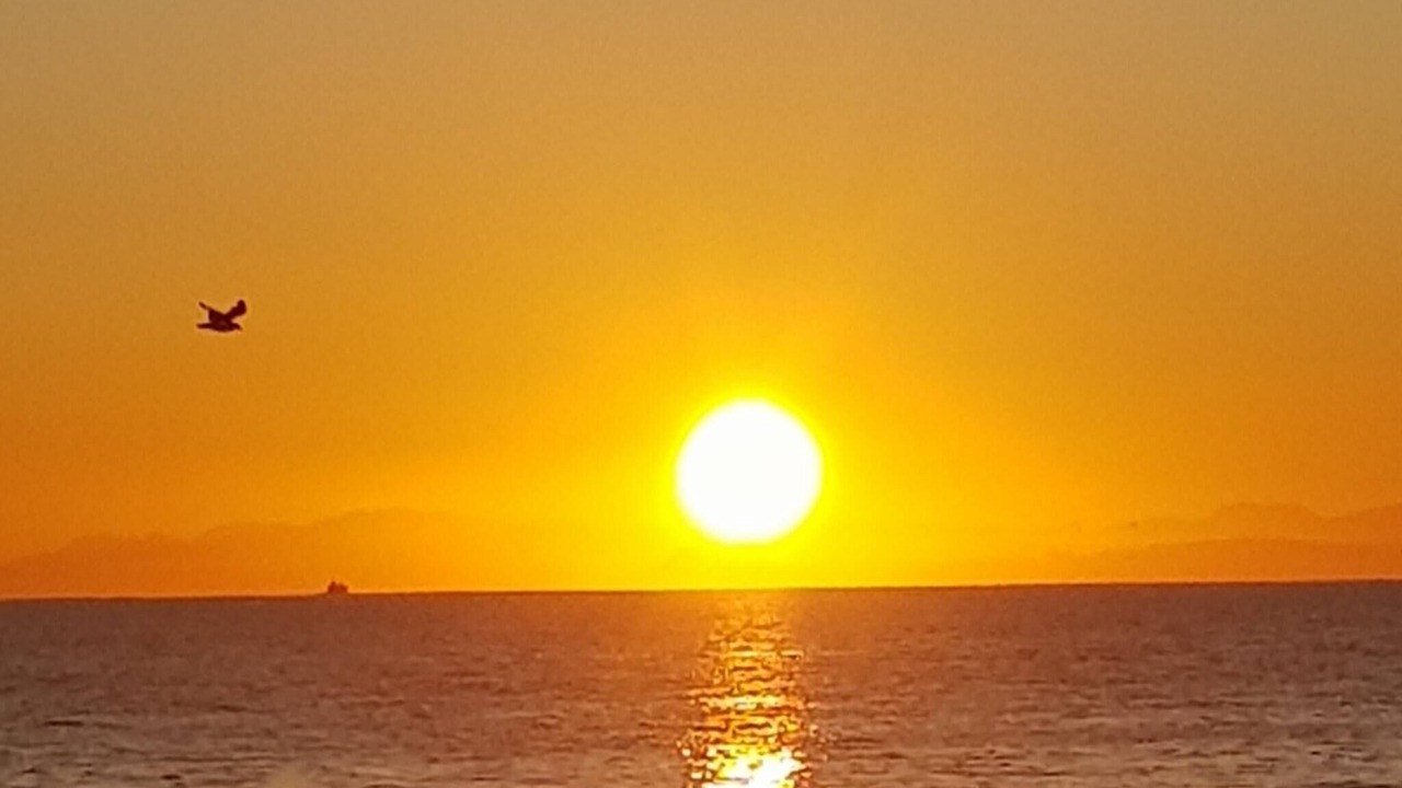 Photo of Outdoor in St. Helena Bay