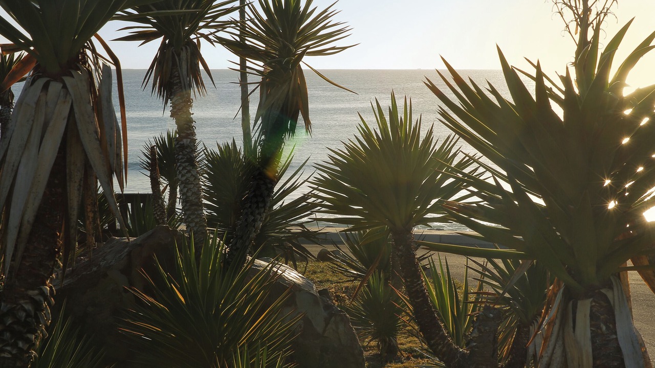 Photo of Outdoor in Saint Francis Bay