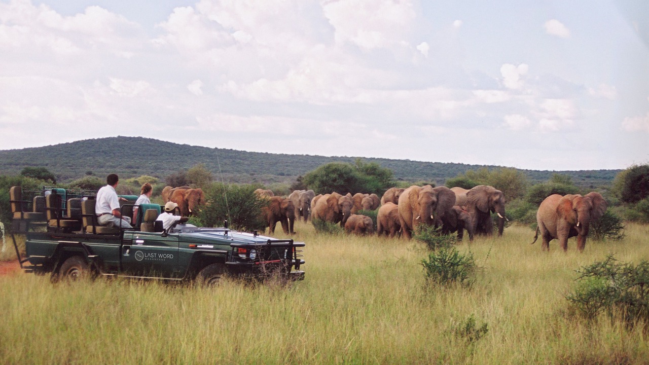 Photo of Others in Madikwe Game Reserve