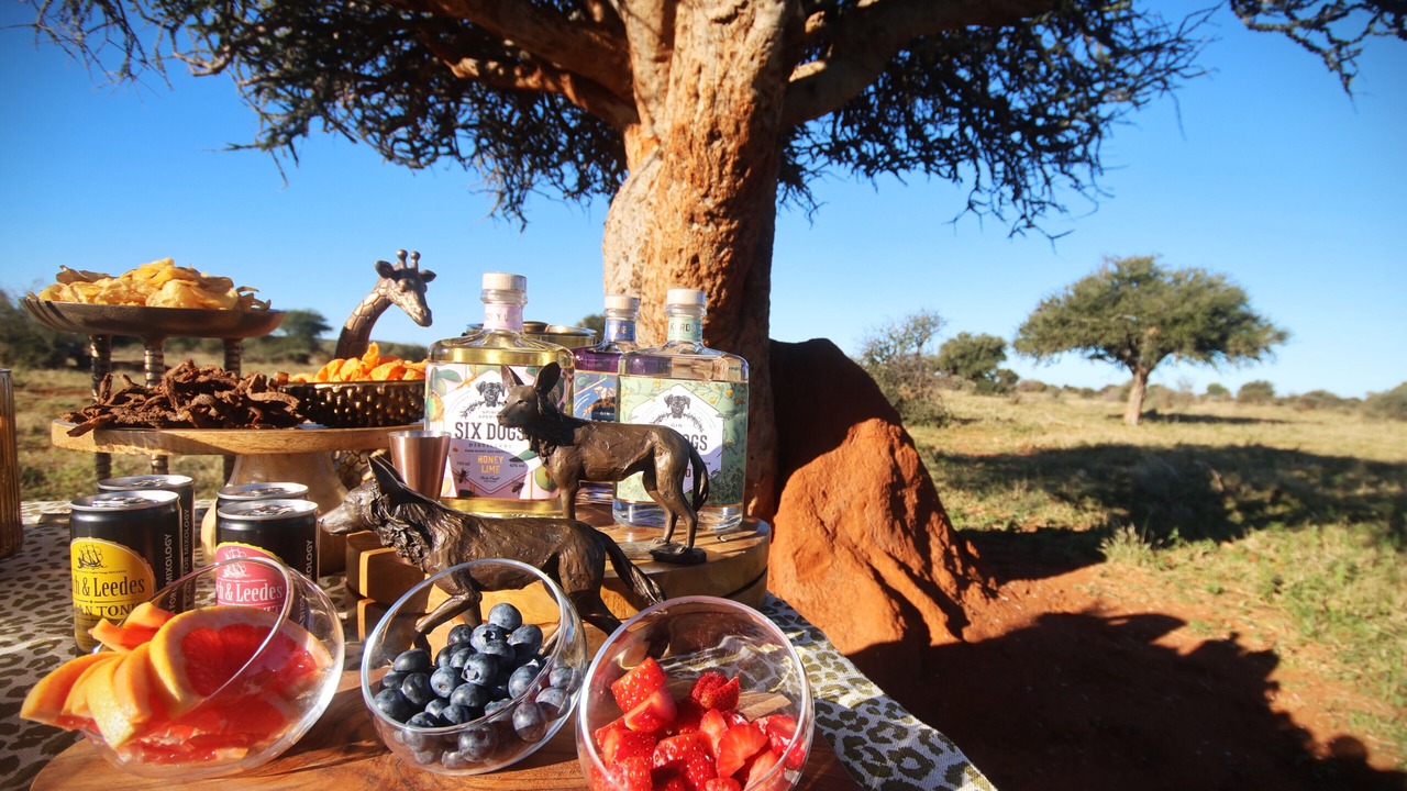 Photo of Others in Madikwe Game Reserve