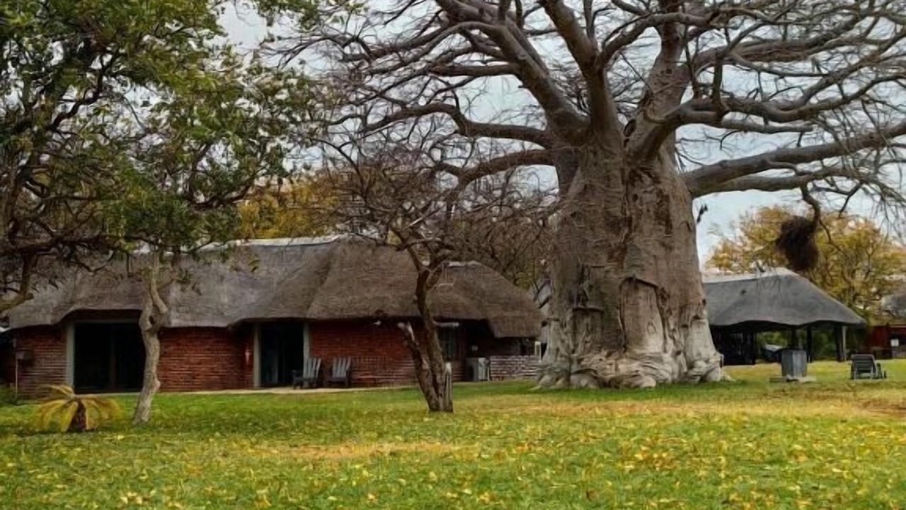 Photo of Outdoor in Musina