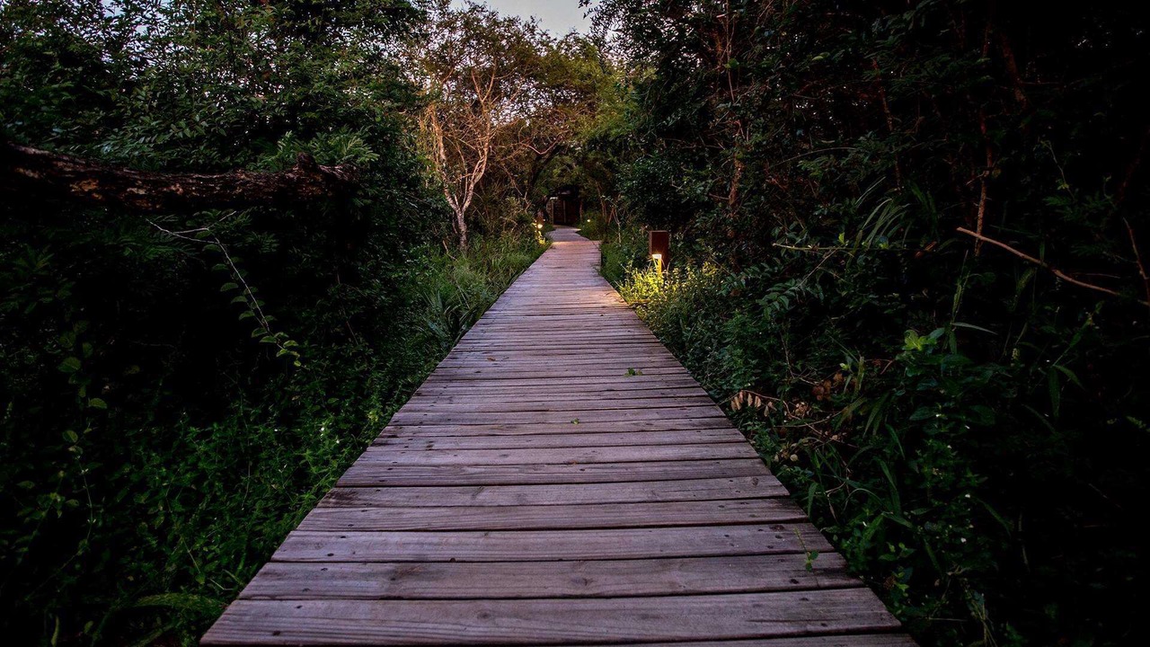Photo of Outdoor in Kosi Bay