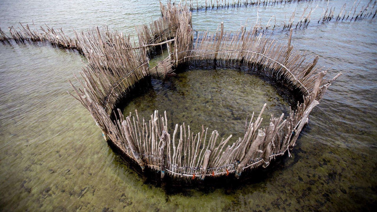 Photo of Others in Kosi Bay