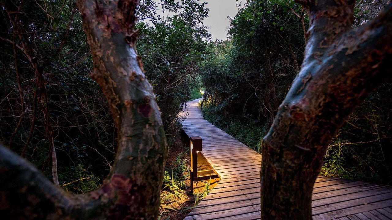 Photo of Outdoor in Kosi Bay