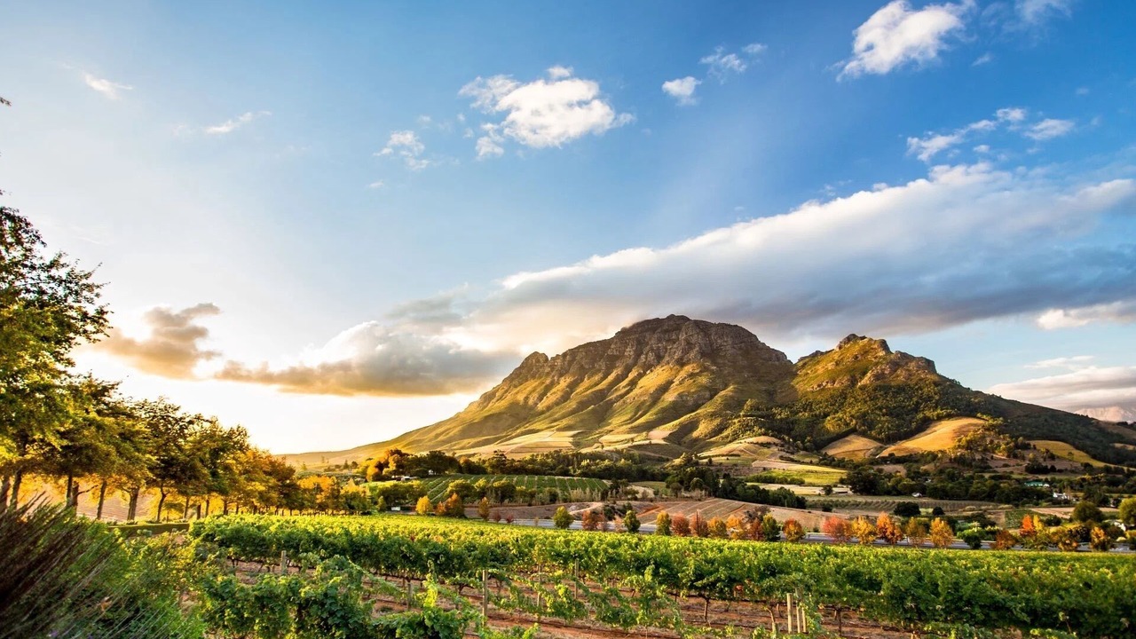 Photo of Outdoor in Somerset West
