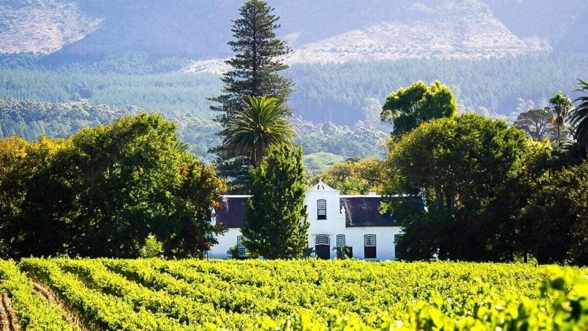 Photo of Others in Somerset West