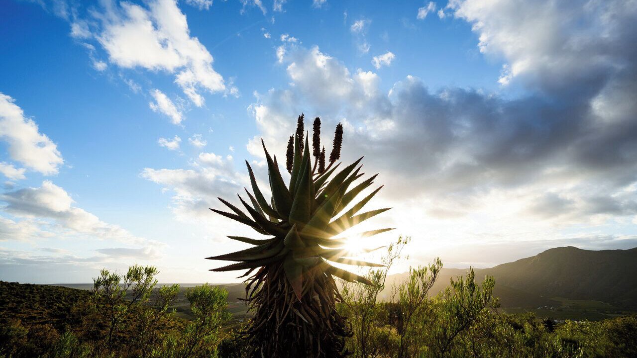 Photo of Outdoor in Schoemanshoek