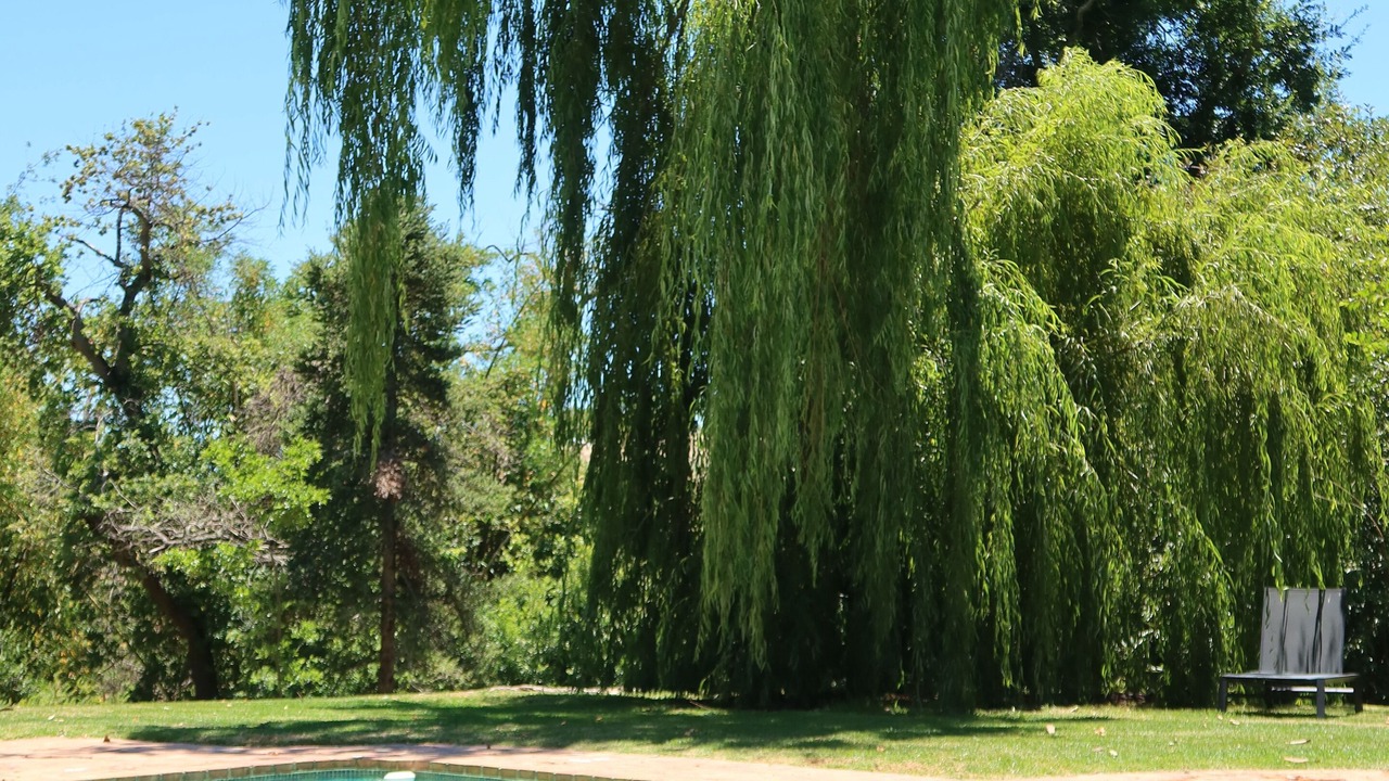 Photo of Outdoor in Stellenbosch