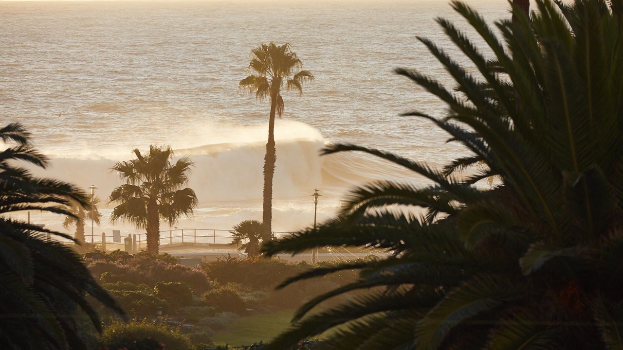 Photo of Others in Sea Point