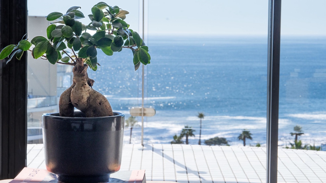 Photo of Others in Sea Point