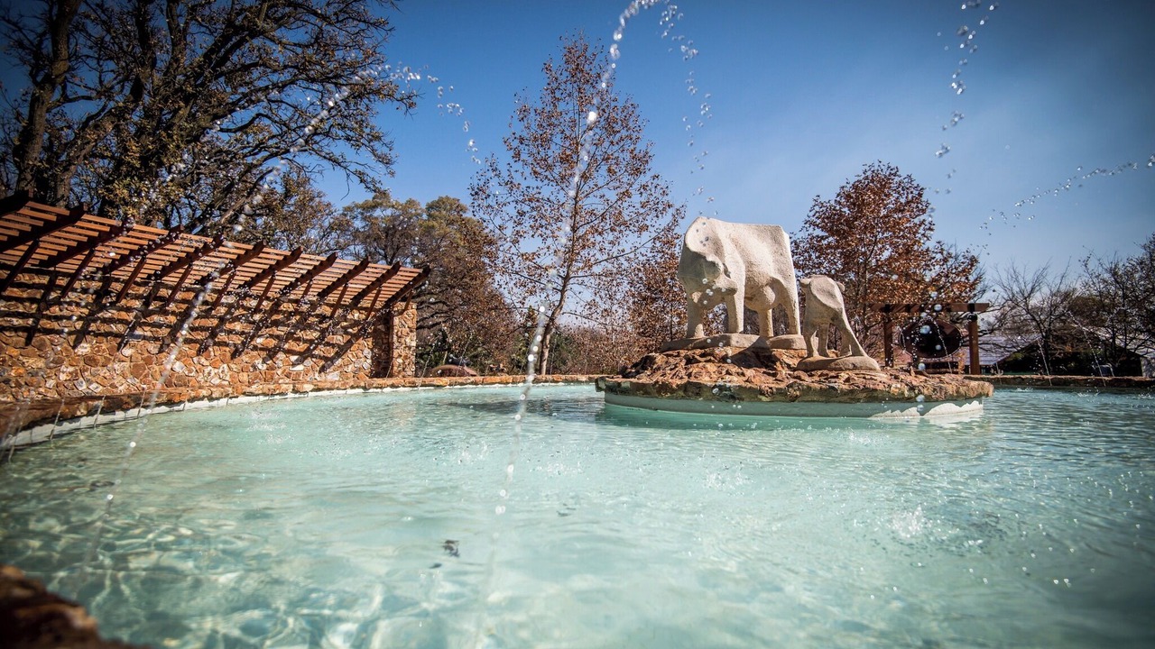 Photo of Outdoor in Centurion