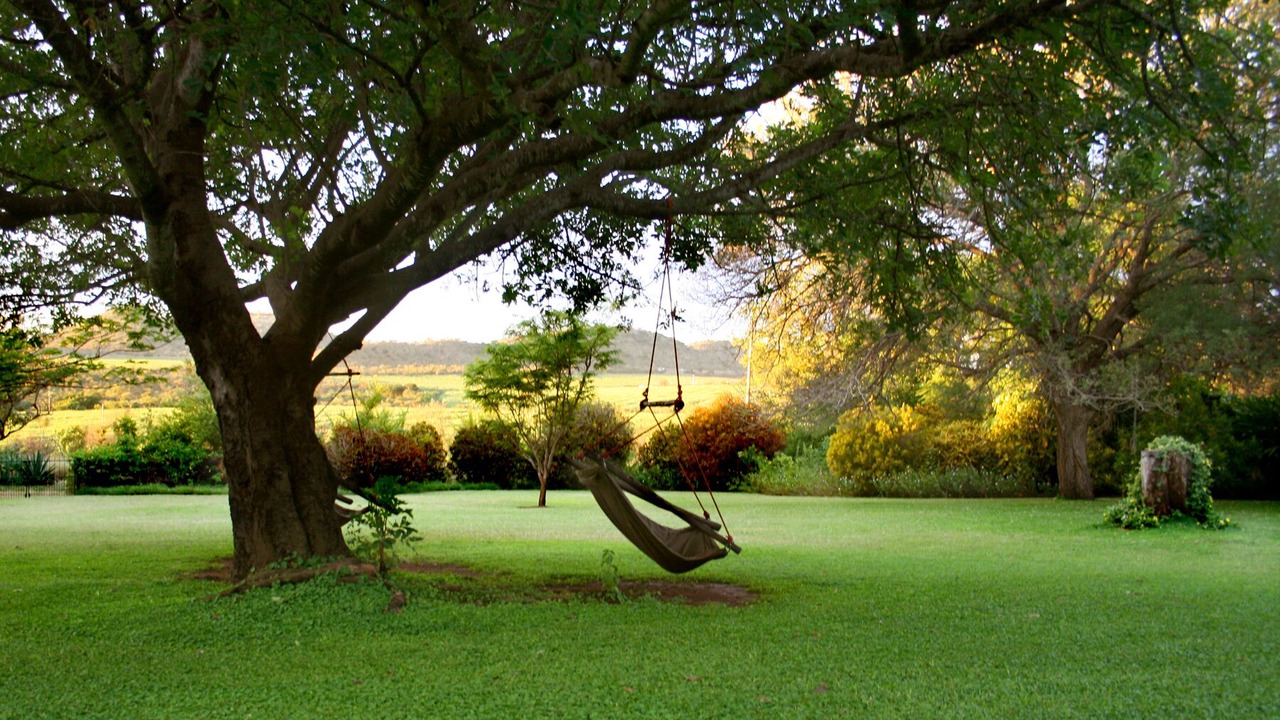 Photo of Outdoor in Malelane