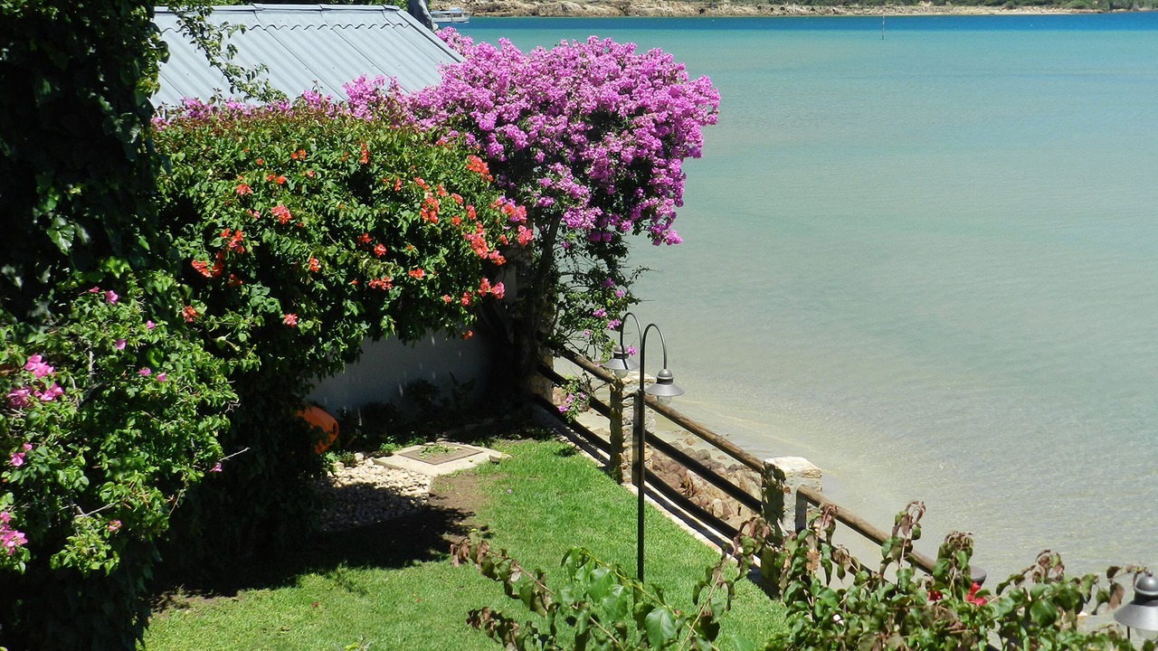 Photo of Others in Knysna