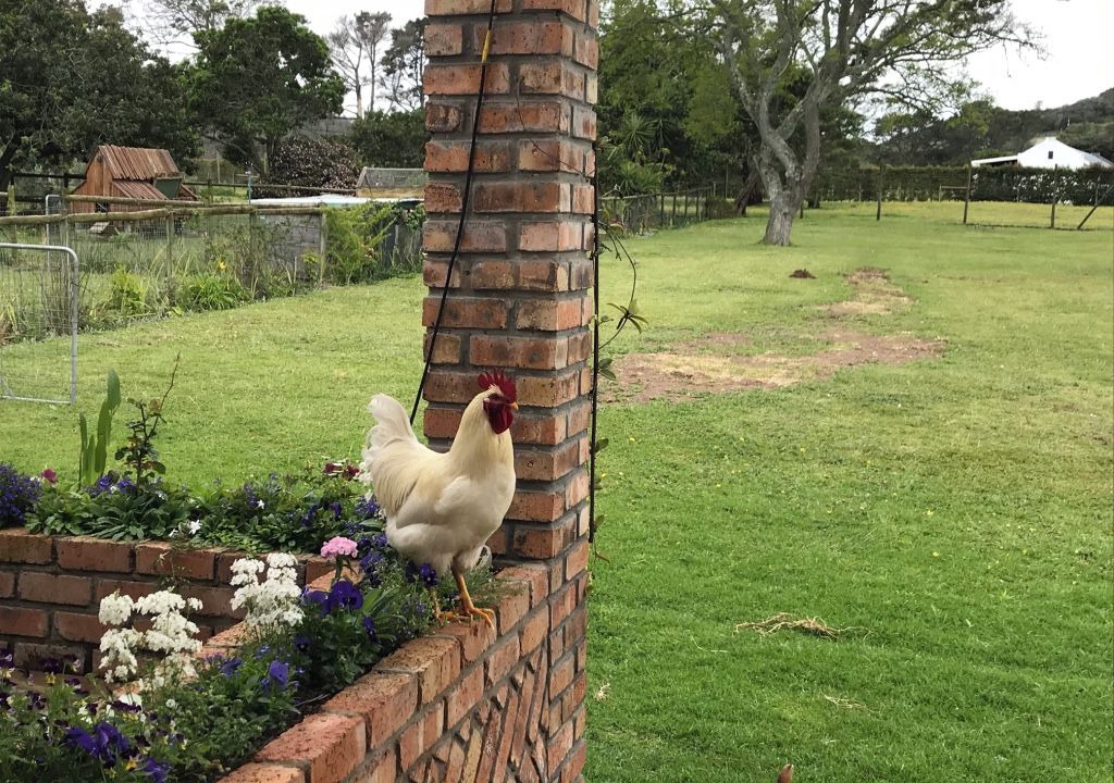 Photo of Outdoor in Port Elizabeth
