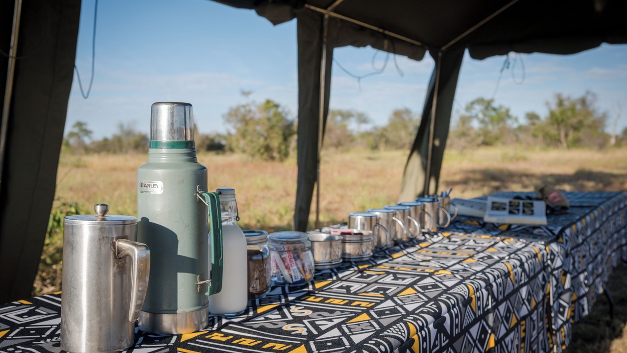 Photo of Others in Kruger National Park
