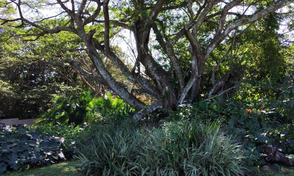 Photo of Outdoor in Eshowe