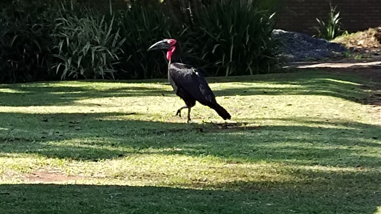Photo of Outdoor in Eshowe