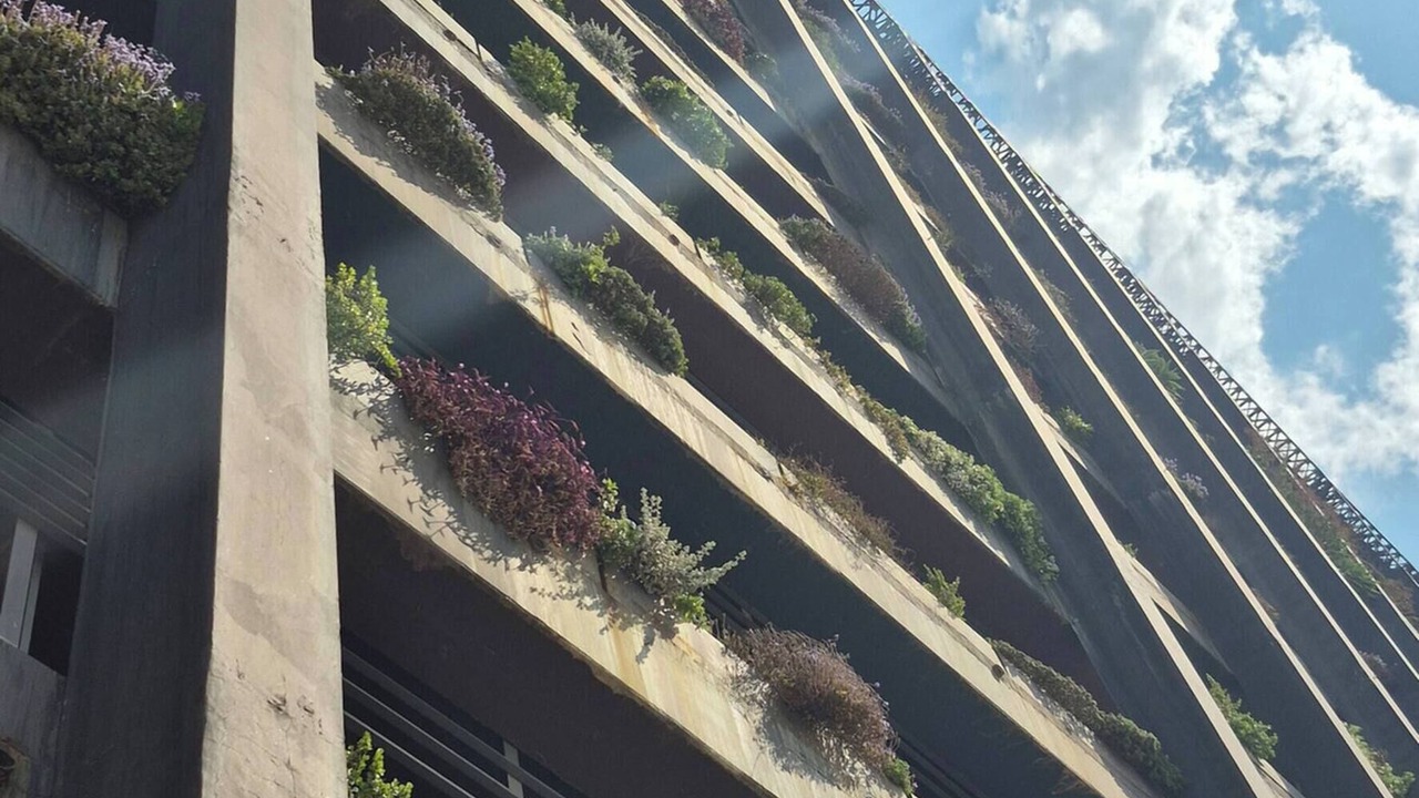 Photo of Patio Balcony in Downtown Johannesburg