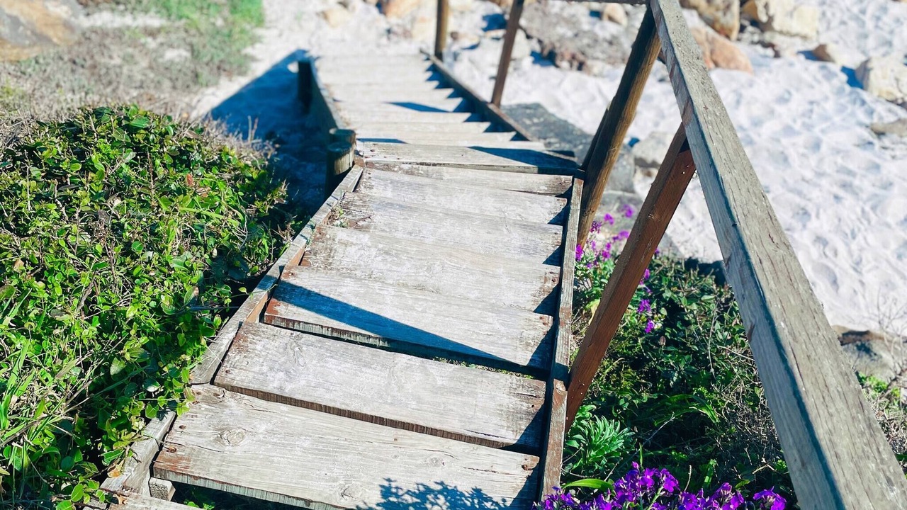 Photo of Patio Balcony in Cape Peninsula