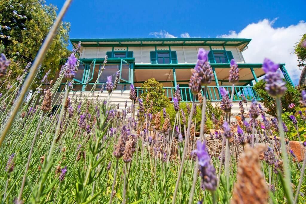Photo of Outdoor in Simon's Town