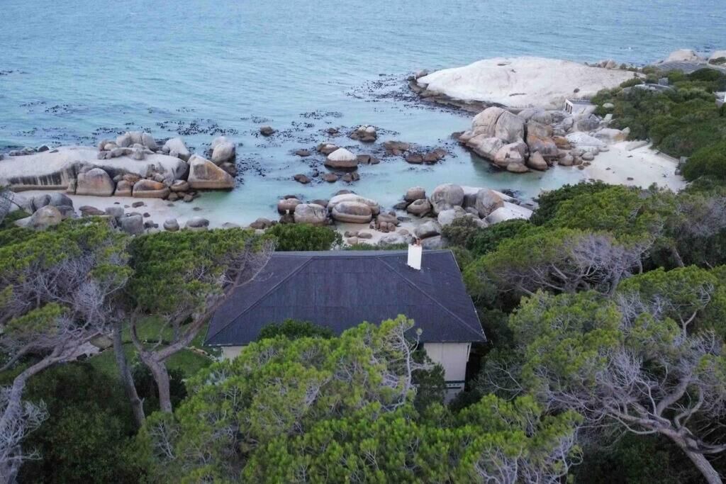 Photo of Others in Simon's Town