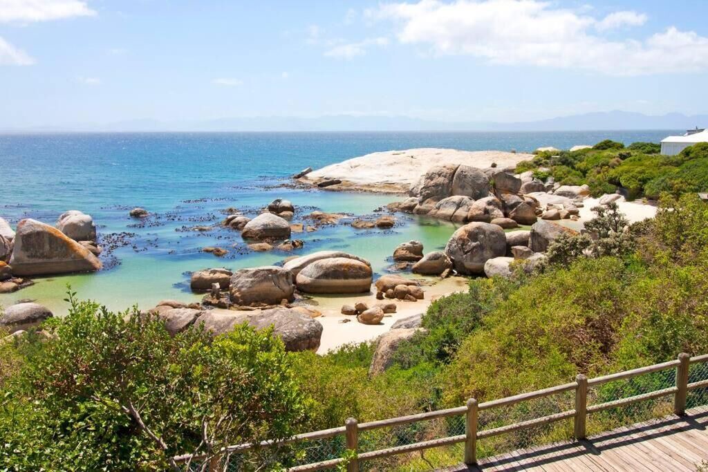 Photo of Others in Simon's Town