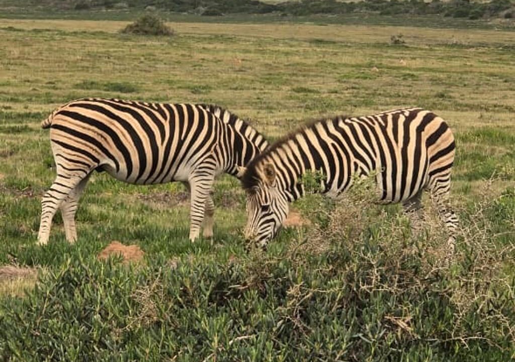 Photo of Outdoor in Garden Route District Municipality