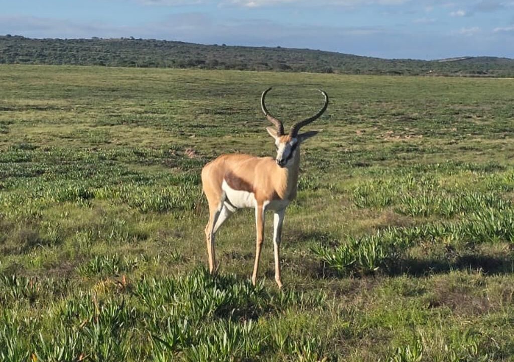 Photo of Outdoor in Garden Route District Municipality