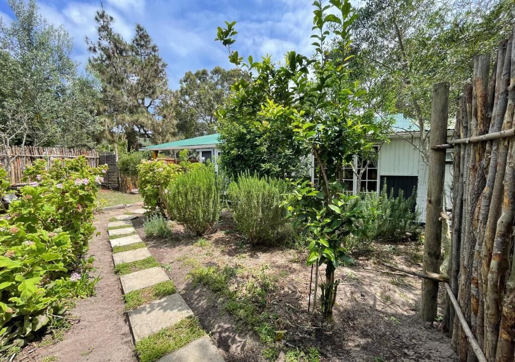 Photo of Outdoor in Sedgefield