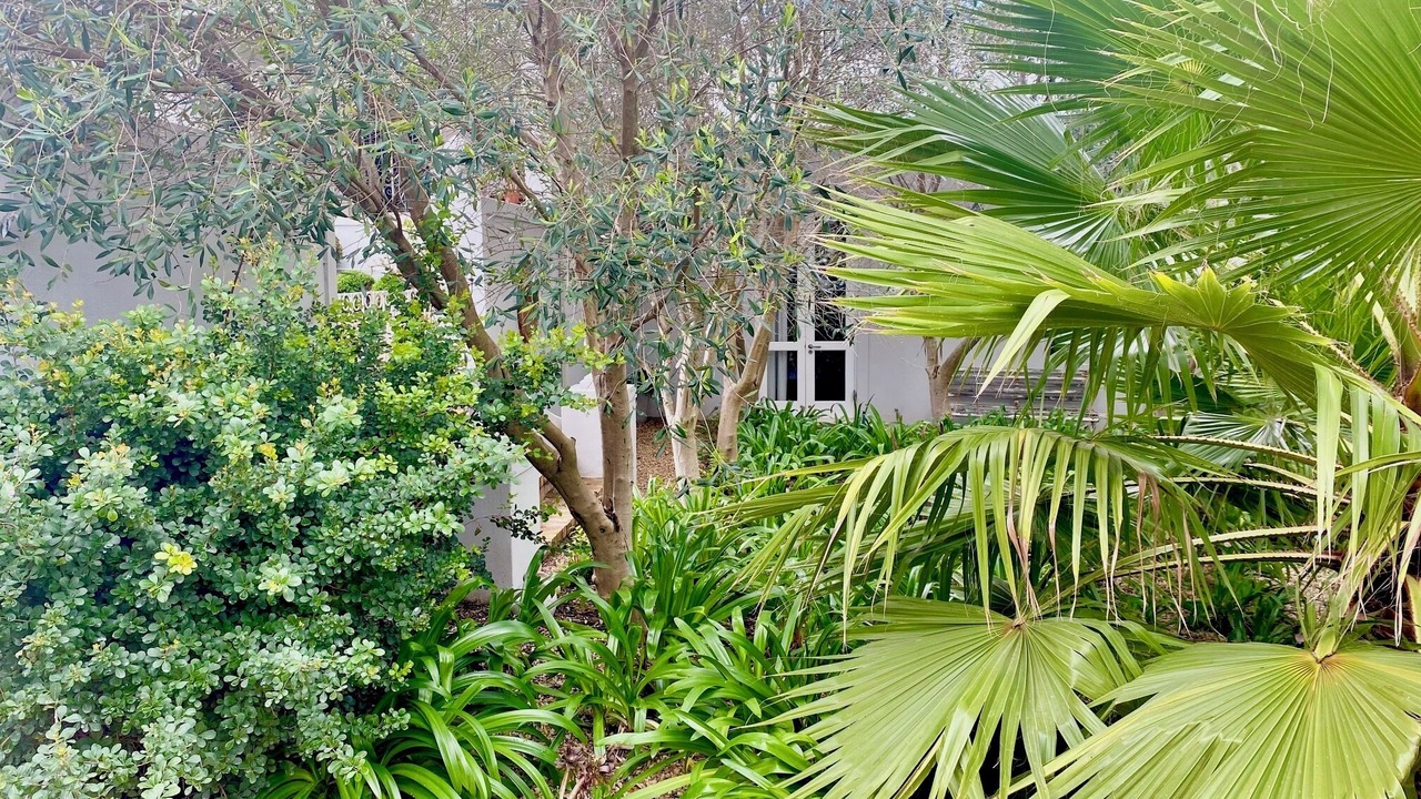 Photo of Outdoor in Riebeek Kasteel