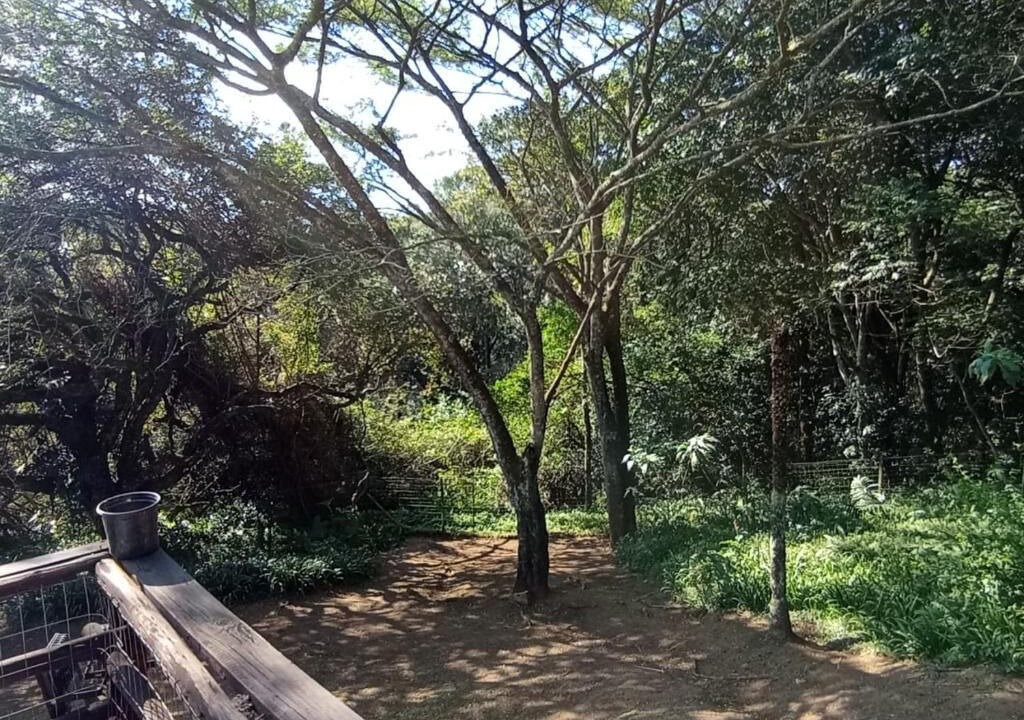 Photo of Outdoor in Umlalazi