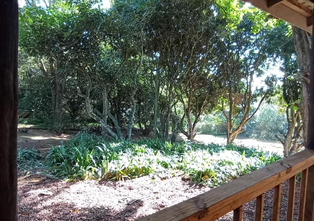 Photo of Outdoor in Umlalazi