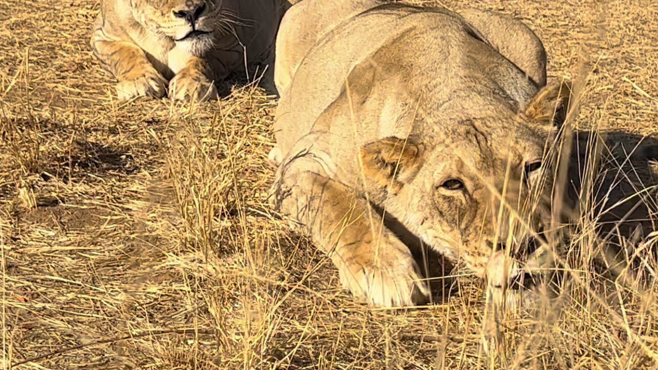 Photo of Others in Lephalale