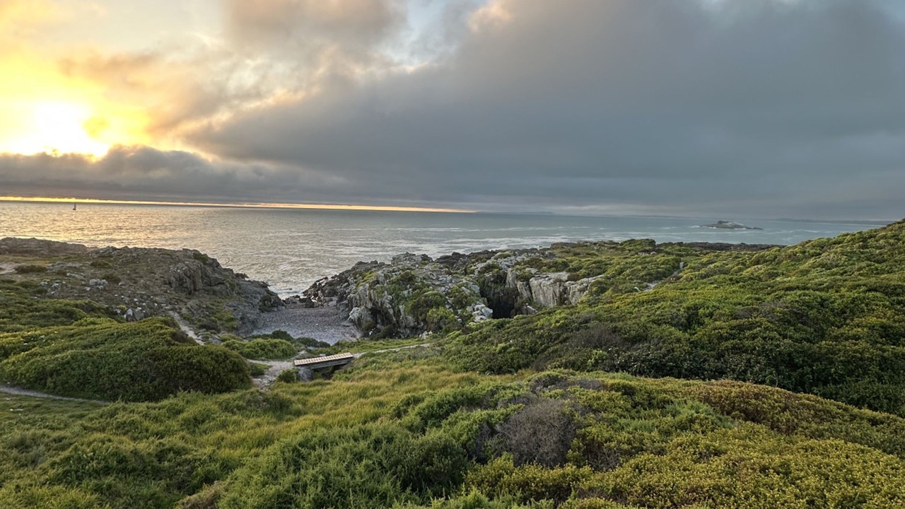 Photo of Others in Yzerfontein