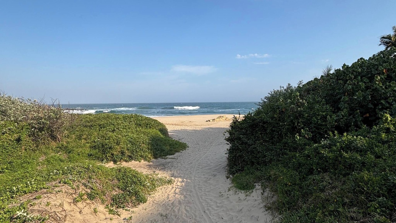 Photo of Outdoor in Port Edward