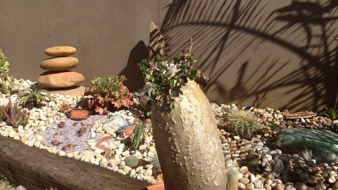 Photo of Outdoor in Walmer
