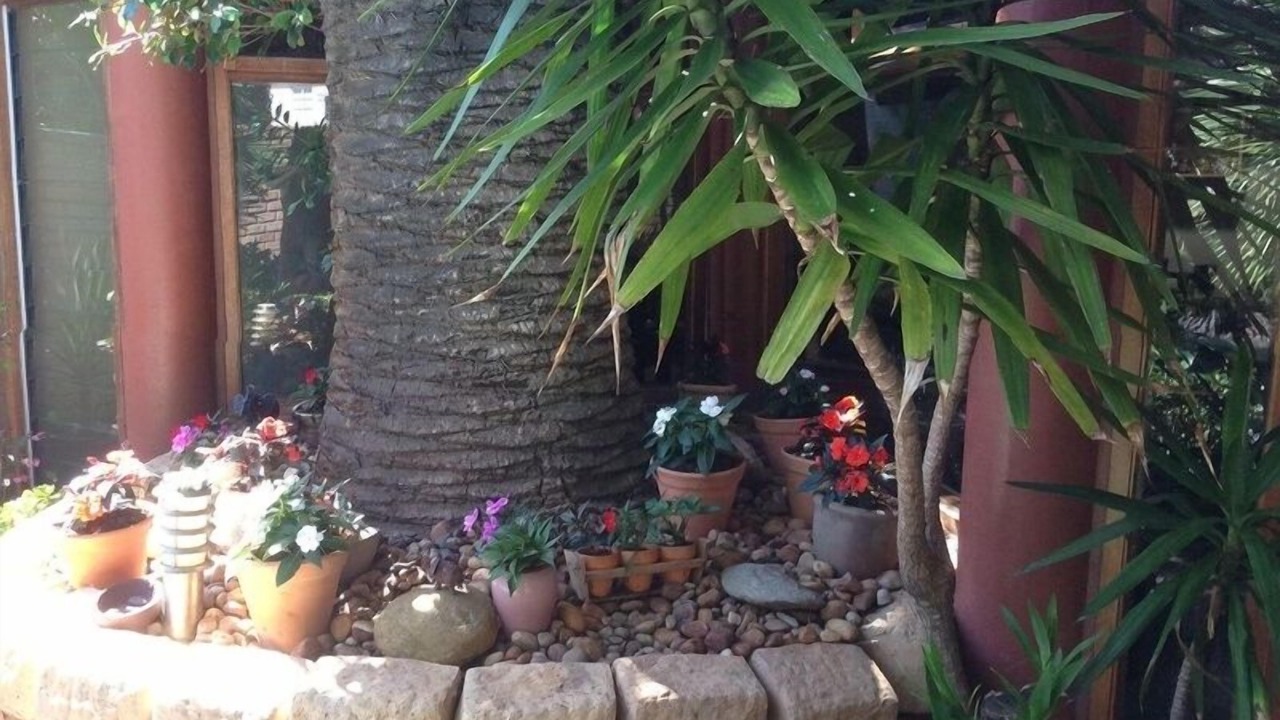 Photo of Outdoor in Walmer