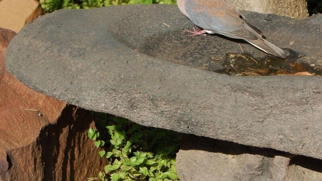 Photo of Outdoor in Walmer