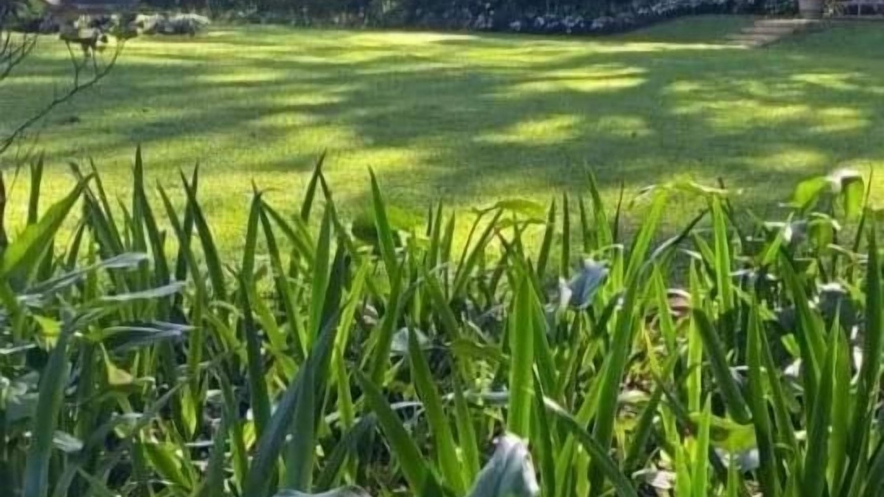 Photo of Outdoor in Botha's Hill