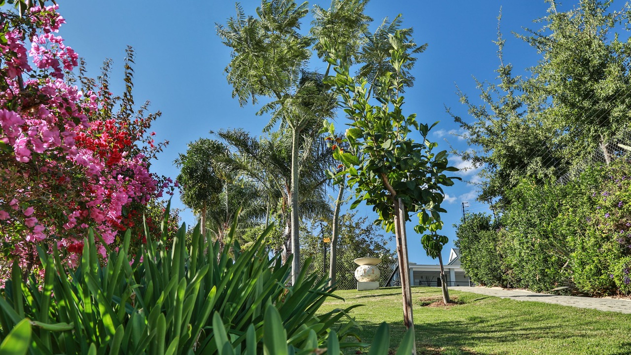 Photo of Outdoor in Drakenstein