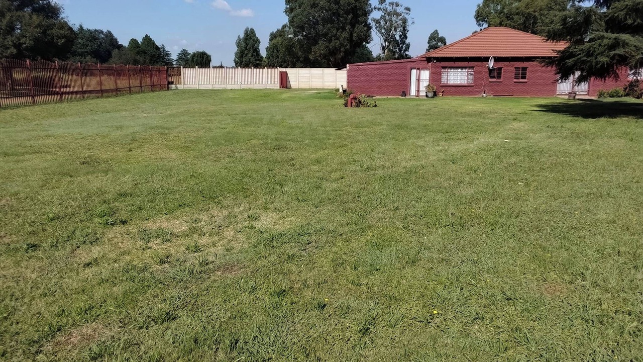 Photo of Others in Springs