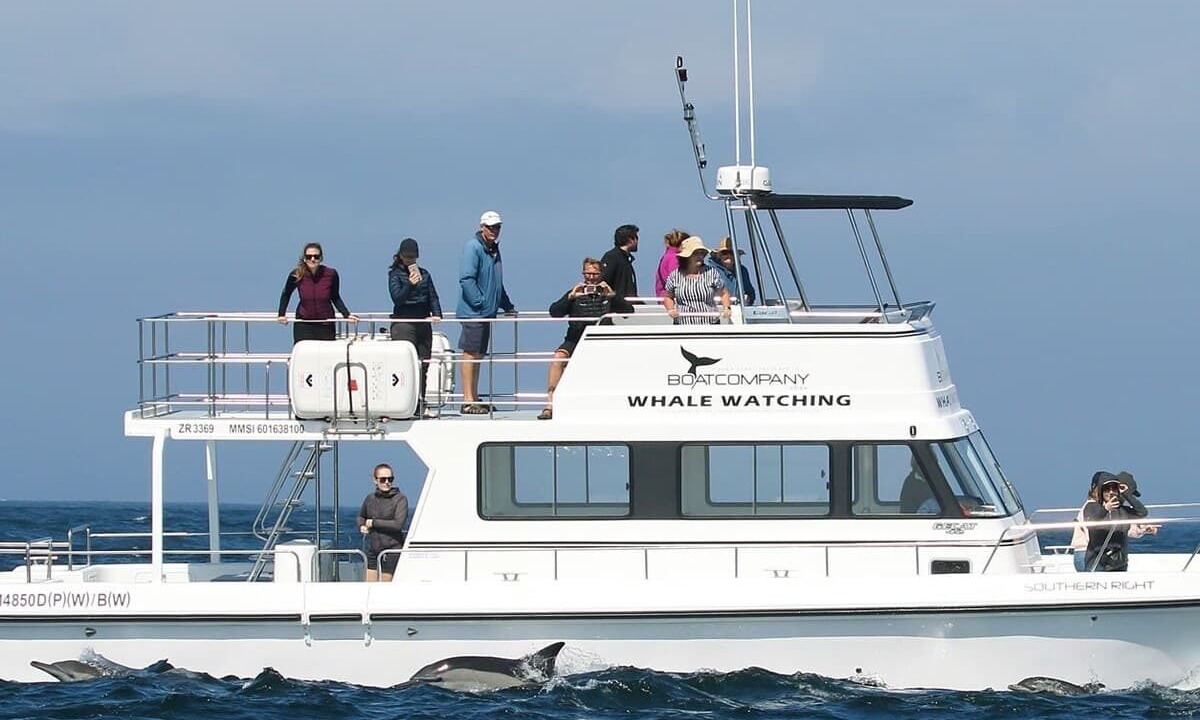 Photo of Others in Cape Peninsula