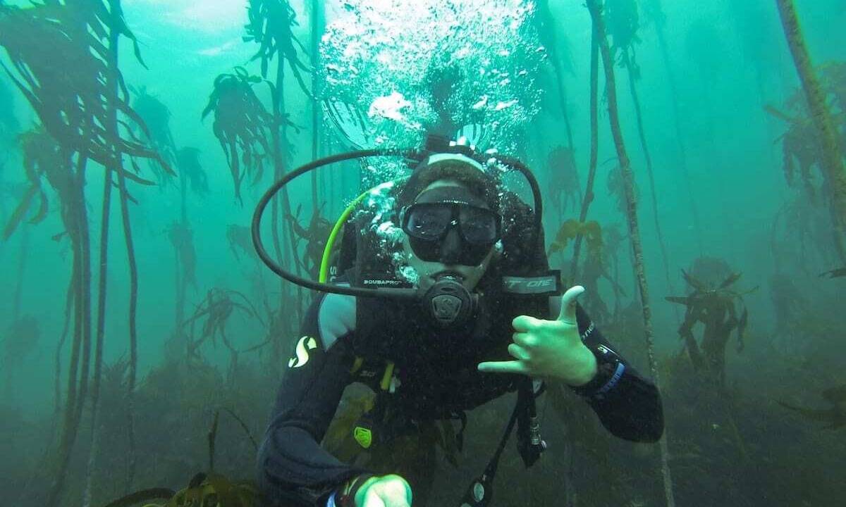 Photo of Others in Cape Peninsula
