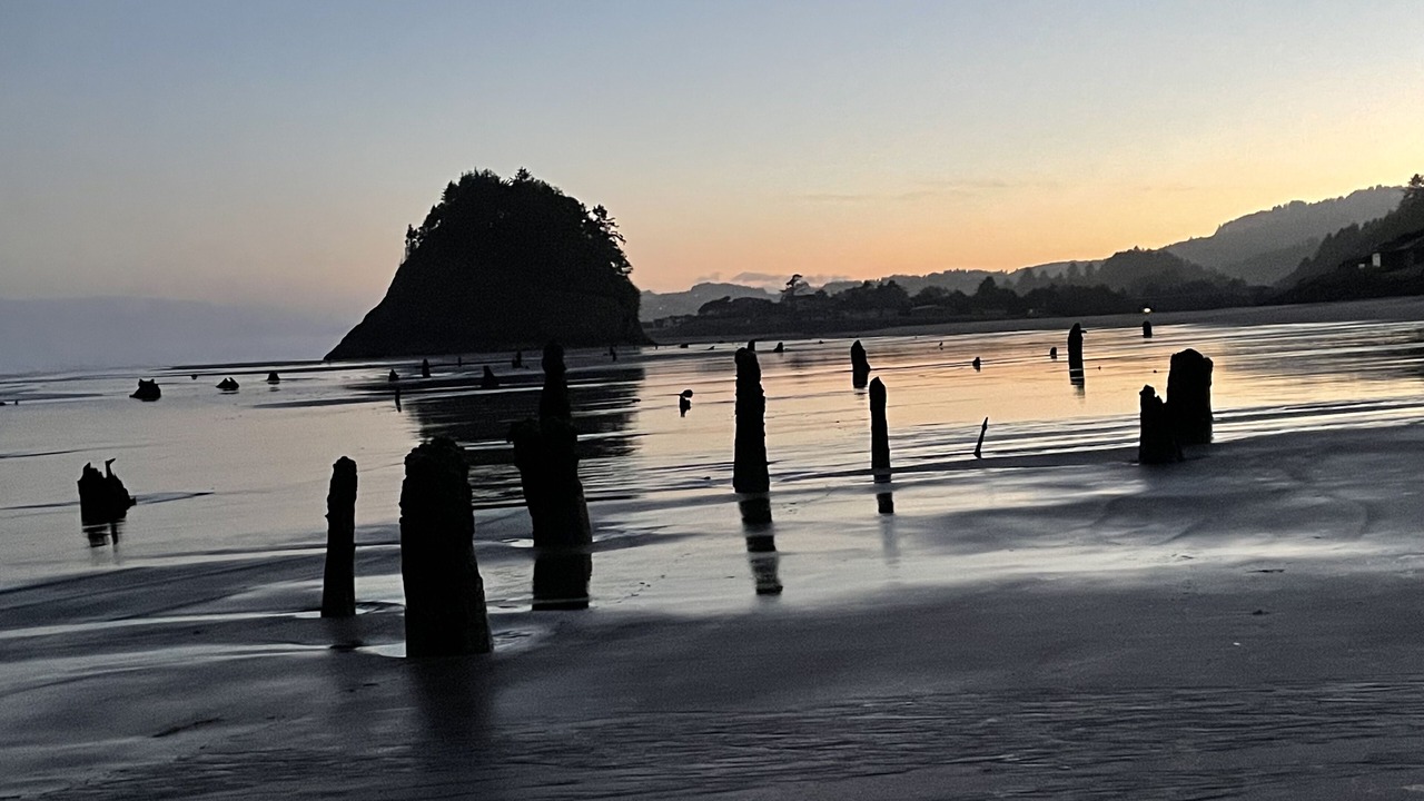 Photo of Others in Neskowin