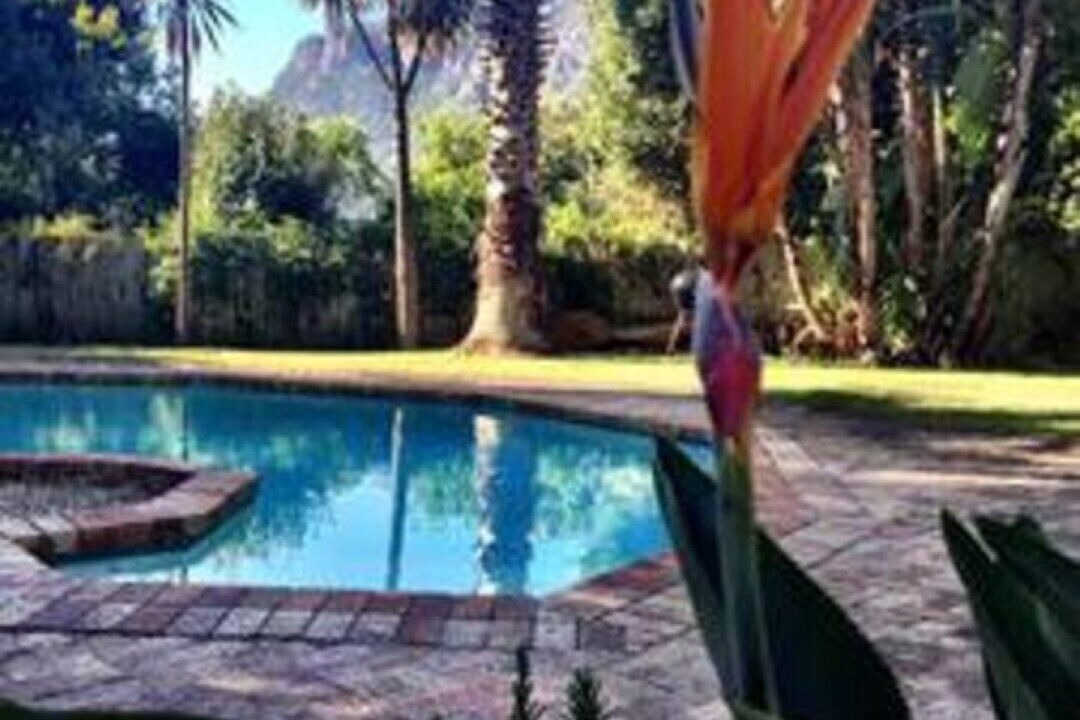 Photo of Outdoor in Hout Bay