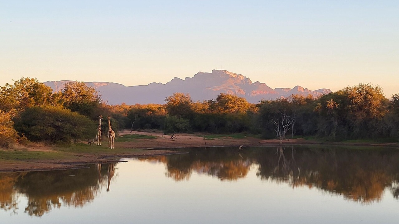 Photo of Others in Hoedspruit